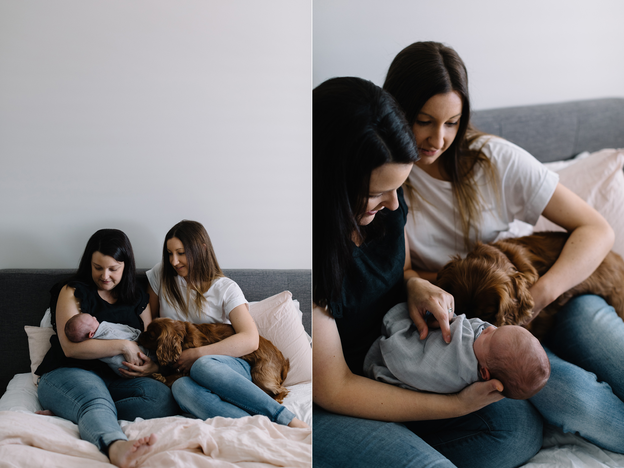 Newborn Same Sex Melbourne Family Photos