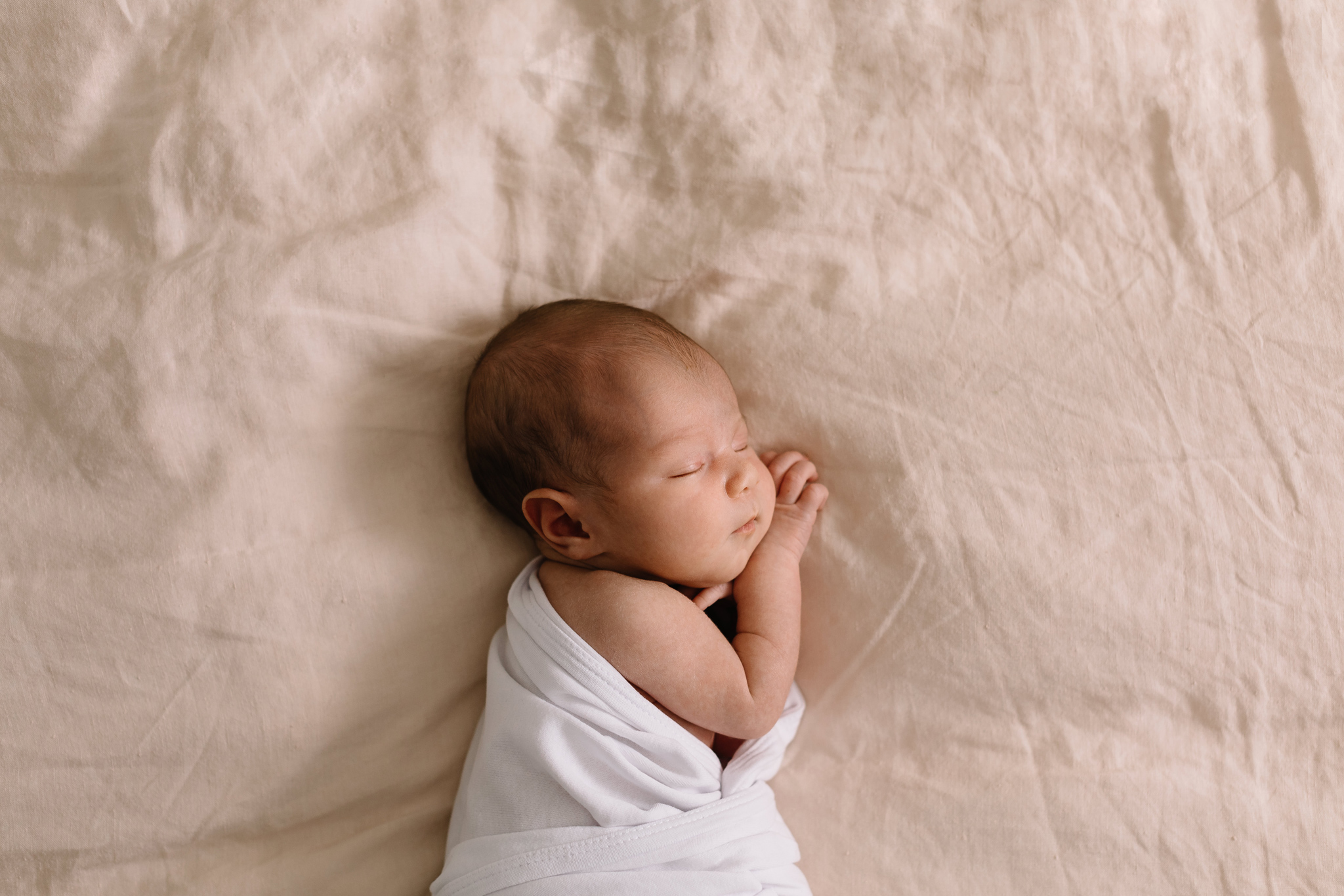 Newborn Same Sex Melbourne Family Photos