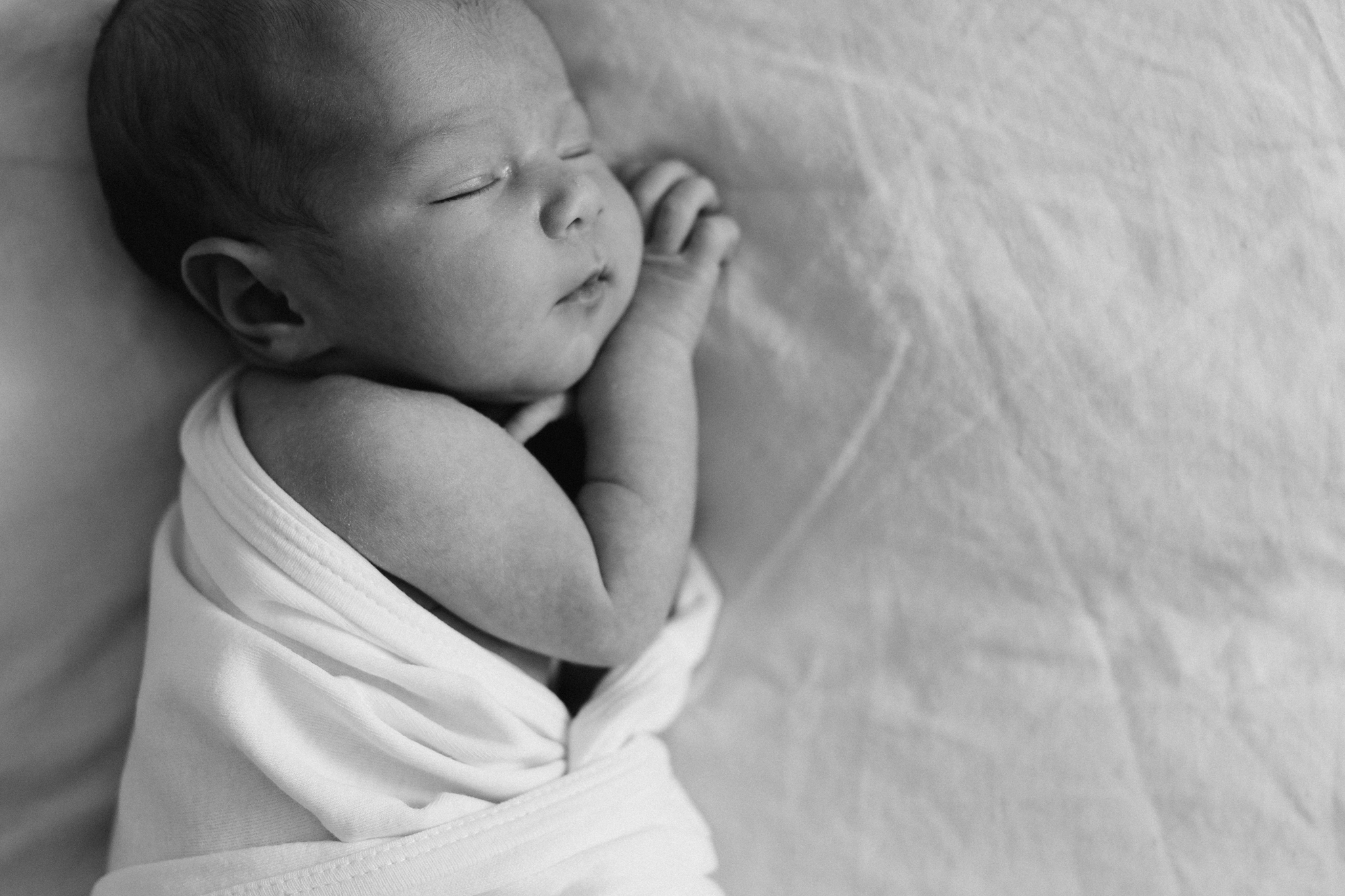 Newborn Same Sex Melbourne Family Photos