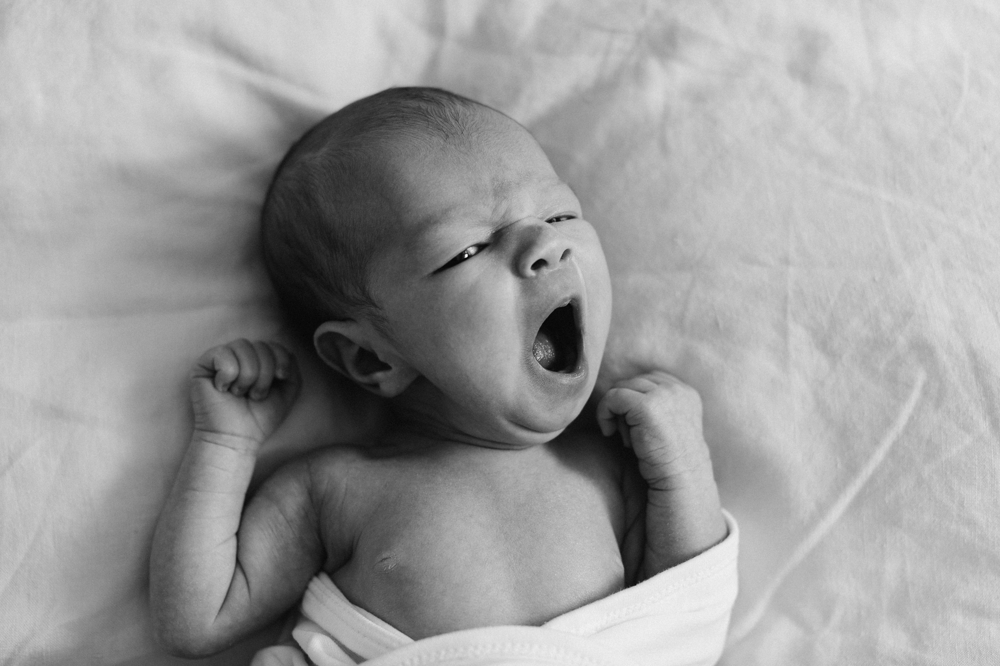 Newborn Same Sex Melbourne Family Photos