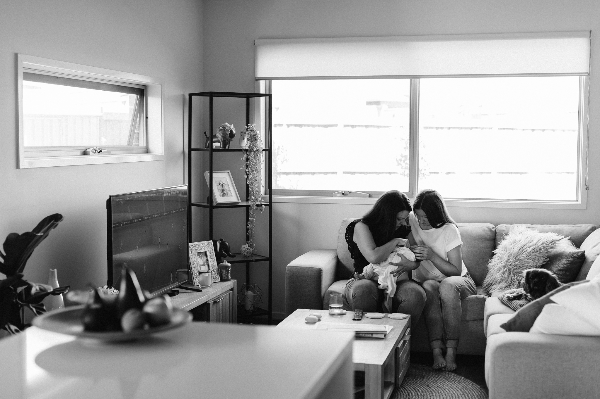 Newborn Same Sex Melbourne Family Photos