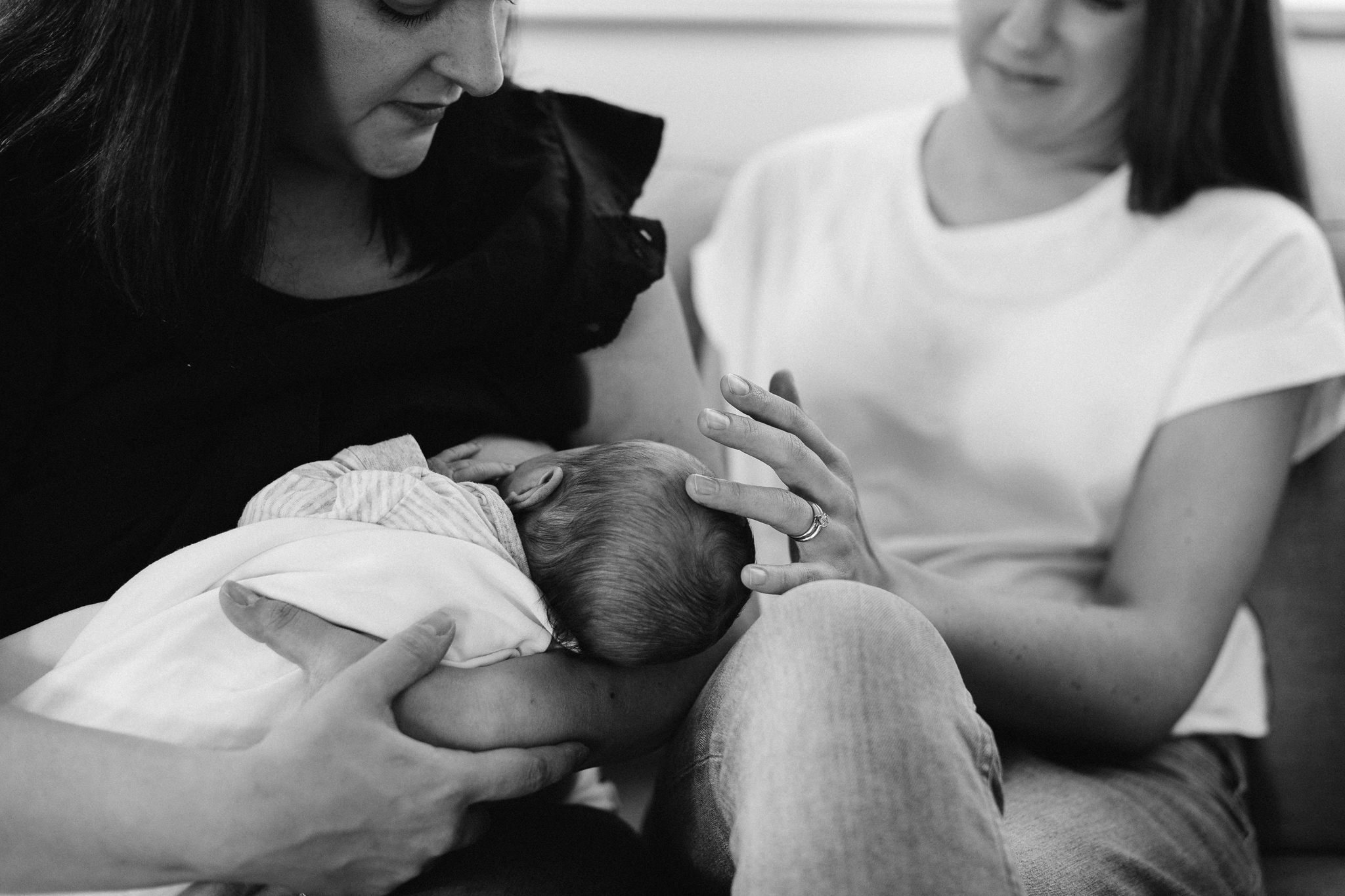 Newborn Same Sex Melbourne Family Photos